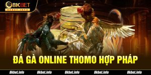 Đá gà online Thomo hợp pháp