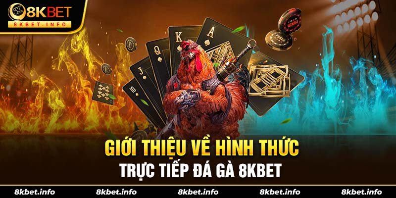 Các loại hình đá gà trực tiếp tại 8kbet phổ biến nhất hiện nay